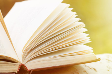 Education and wisdom concept - open book under sunlight