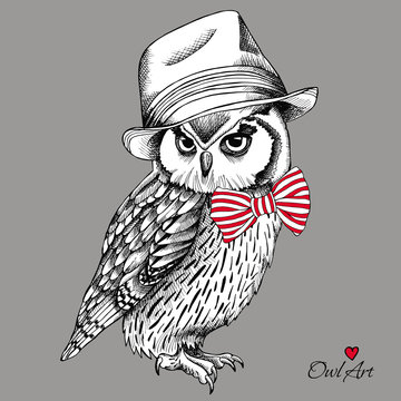 Owl in a Elegant hat, red striped tie on gray background. Vector illustration.