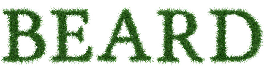 Beard - 3D rendering fresh Grass letters isolated on whhite background.