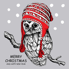 Fototapeta premium Owl in a red winter long knit hat on gray background. Vector illustration.