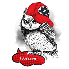 Foto op Plexiglas Owl in red cap. Vector illustration. © Afishka