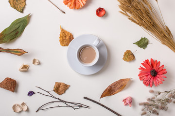 Autumn creative set: fallen leaves, dry petals, dried flowers and dry plants simple rustic branches and wheat bunch, cup of coffee in center. White background. Top view. Flat lay.