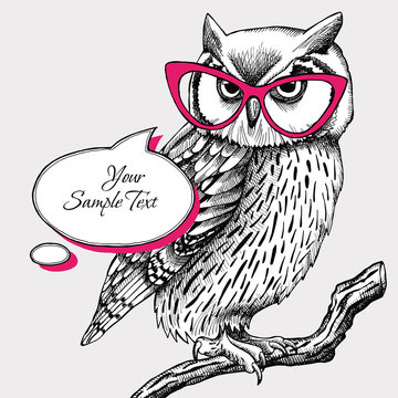 Card for your text with image of an owl with glasses. Vector illustration.