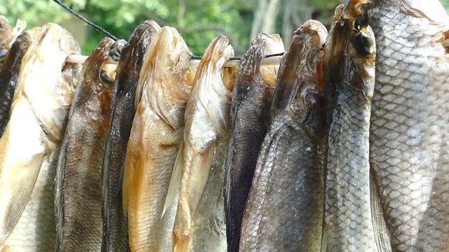 The fish is dried on a rope