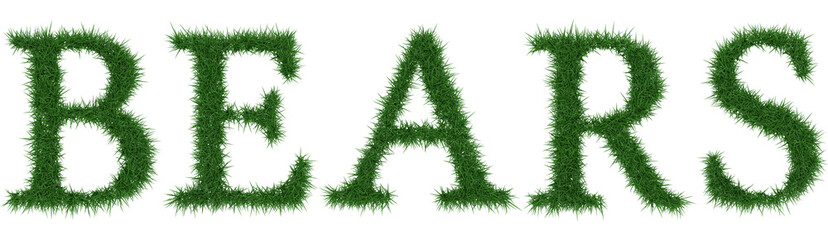 Bears - 3D rendering fresh Grass letters isolated on whhite background.