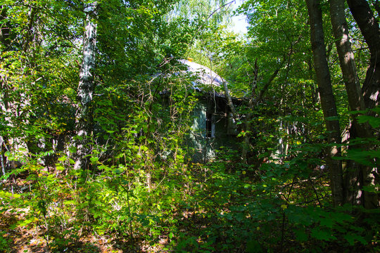 Destroyed houses in which people lived in a dead radioactive zone. Consequences of the Chernobyl nuclear disaster and vandalism, August 2017.