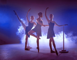 Obraz na płótnie Canvas The young ballerinas stretching on the bar