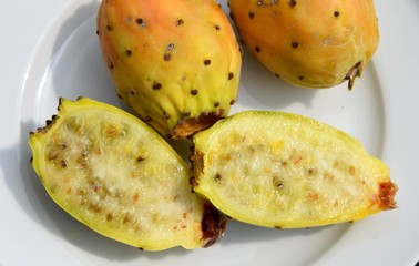 Kaktusfeigen für ein Dessert, Opuntien oder Opuntia ficus-indica