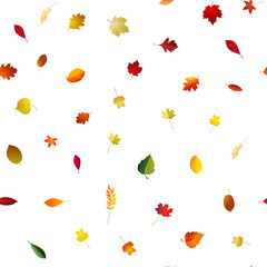Obraz premium Autumn falling seamless bright background . Vector season pattern . Red and yellow leaves .
