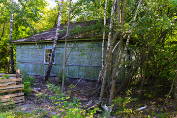 Destroyed houses in which people lived in a dead radioactive zone. Consequences of the Chernobyl nuclear disaster and vandalism, August 2017.