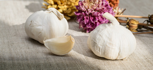 garlic