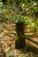 An old pump for water near the house in a dead radioactive zone. Consequences of the Chernobyl nuclear disaster, August 2017.