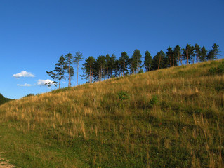 Fototapeta premium The summer rural landscape in unspoiled nature.