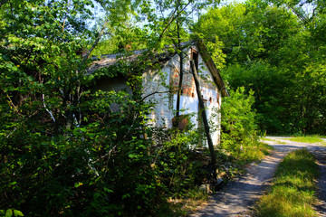 Destroyed houses in which people lived in a dead radioactive zone. Consequences of the Chernobyl nuclear disaster and vandalism, August 2017.