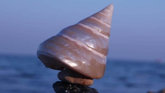 Balancing a sea shell on the rocks on a sandy beach against the backdrop of the sea and sky