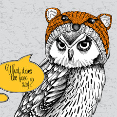 Owl in a fox muzzle hat. Vector illustration.