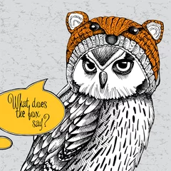 Foto op Plexiglas Owl in a fox muzzle hat. Vector illustration. © Afishka