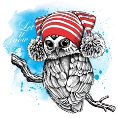 Fototapeten Owl in a red Hat with pom-pom on blue background. Vector illustration. © Afishka