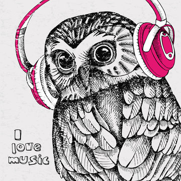The image of an owl wearing headphones. Vector illustration.