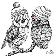 Image of a two owls in a hipster knitted hat. Vector illustration.
