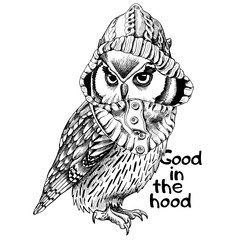 Owl in a hood. Vector black and white illustration.