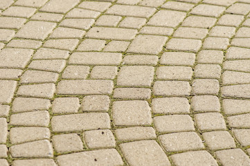 pavement texture background