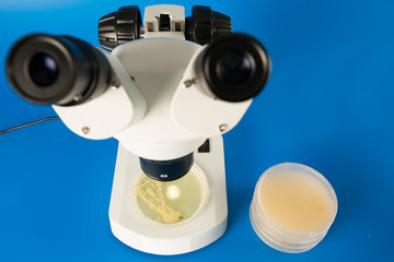 Scientific microscope and petri dishes for scientific research on blue background