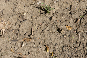 hintergrund struktur serie002