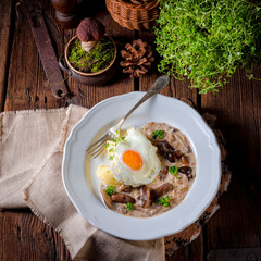 Forest mushroom sauce with fresh mushrooms, potato and poached egg