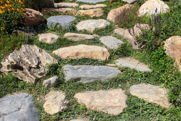 Rock paved and flowers path