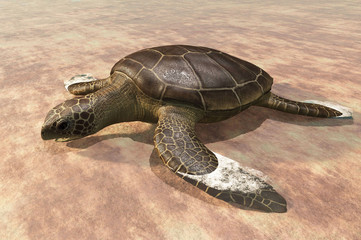 Sea turtle on the beach 3d rendering
