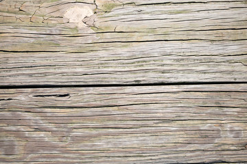 wood texture