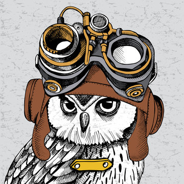 Owl portrait in a Steampunk helmet. Vector illustration.