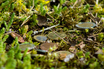 Mixed Euro coins on the ground