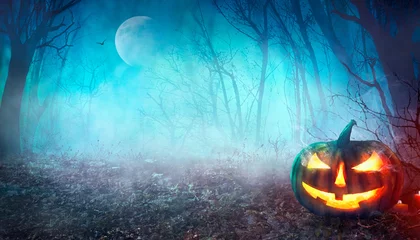 Zelfklevend Fotobehang Halloween Spooky Forest © mythja
