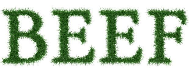 Beef - 3D rendering fresh Grass letters isolated on whhite background.