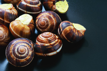 Snails on a dark plate. French dish.