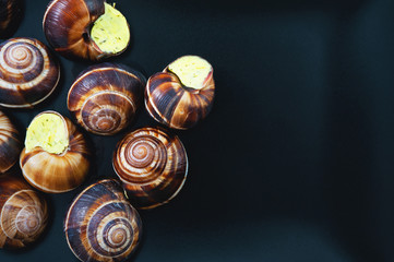 Obraz premium Snails on a dark plate. French dish.