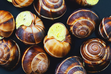 Snails on a dark plate. French dish.