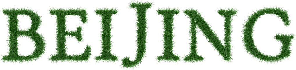 Beijing - 3D rendering fresh Grass letters isolated on whhite background.