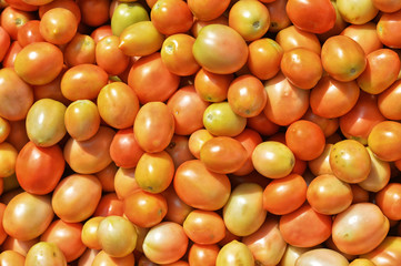 Fototapeta na wymiar fresh ripe tomatoes