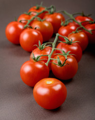 branches with small tomatoes on the table