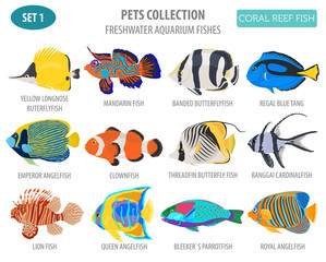 Freshwater aquarium fish breeds icon set flat style isolated on white. Coral reef. Create own infographic about pet