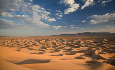 Fototapeta na wymiar Sand dunes - Khongoryn Els - Gobi desert