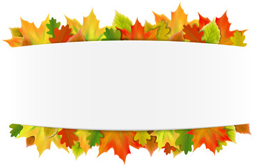 Herbst Banner mit Herbst Blätter Laub