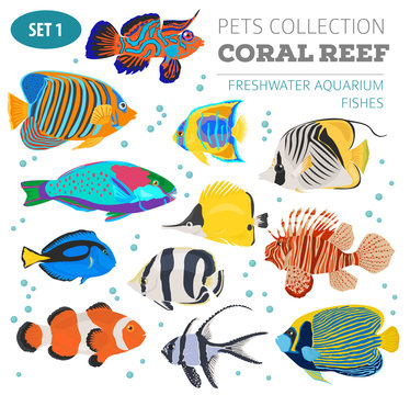 Freshwater aquarium fish breeds icon set flat style isolated on white. Coral reef. Create own infographic about pet