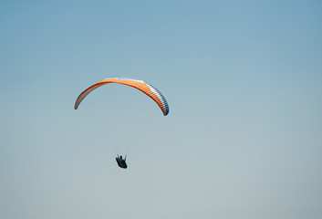 The paraglider flies in the sky on a sunny summer day.