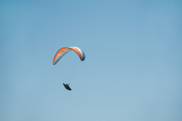 The paraglider flies in the sky on a sunny summer day.