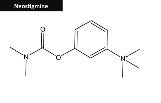 Molecular structure of Neostigmine