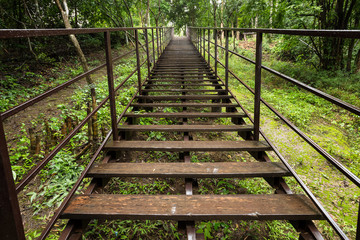 wooden stairs in jungle